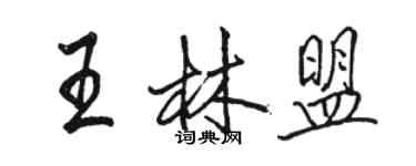 駱恆光王林盟行書個性簽名怎么寫