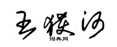 朱錫榮王獲河草書個性簽名怎么寫