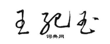 駱恆光王紀玉草書個性簽名怎么寫