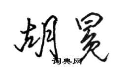 駱恆光胡冕行書個性簽名怎么寫