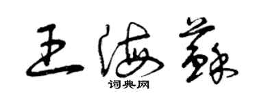 曾慶福王海蘇草書個性簽名怎么寫