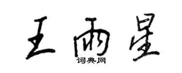 王正良王雨星行書個性簽名怎么寫