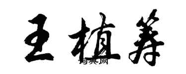 胡問遂王植籌行書個性簽名怎么寫