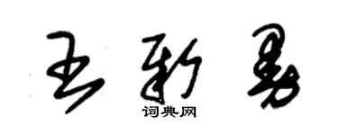 朱錫榮王新曼草書個性簽名怎么寫