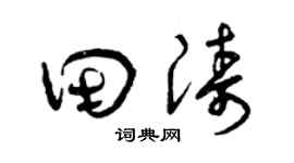 曾慶福田濤草書個性簽名怎么寫