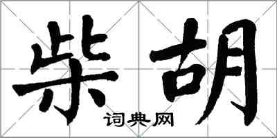 翁闓運柴胡楷書怎么寫