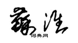 朱錫榮蘇淮草書個性簽名怎么寫