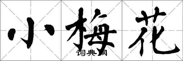 翁闓運小梅花楷書怎么寫