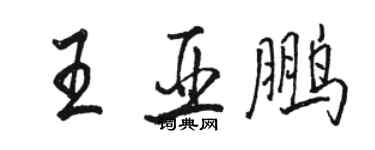 駱恆光王亞鵬行書個性簽名怎么寫