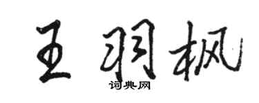 駱恆光王羽楓行書個性簽名怎么寫
