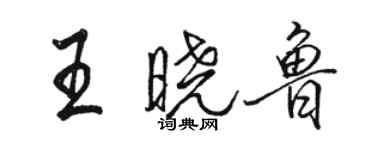 駱恆光王曉魯行書個性簽名怎么寫