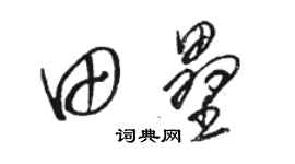 駱恆光田壘草書個性簽名怎么寫