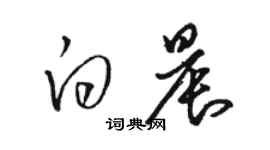 駱恆光白晨草書個性簽名怎么寫