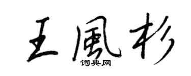 王正良王風杉行書個性簽名怎么寫