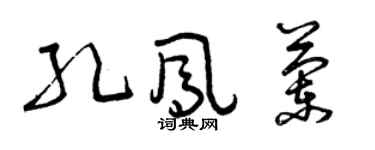 曾慶福孔鳳蘭草書個性簽名怎么寫