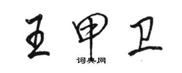 駱恆光王甲衛行書個性簽名怎么寫