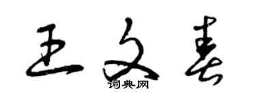 曾慶福王文春草書個性簽名怎么寫