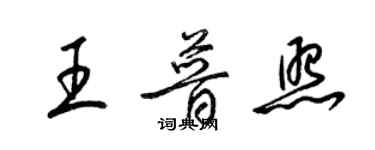 梁錦英王普照草書個性簽名怎么寫