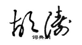 駱恆光胡濤草書個性簽名怎么寫