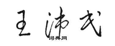 駱恆光王沛民草書個性簽名怎么寫