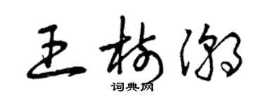 曾慶福王樹潮草書個性簽名怎么寫