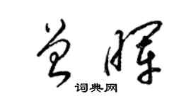 梁錦英曾暉草書個性簽名怎么寫