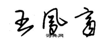 朱錫榮王鳳齊草書個性簽名怎么寫