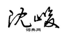 曾慶福沈峻草書個性簽名怎么寫