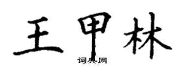 丁謙王甲林楷書個性簽名怎么寫