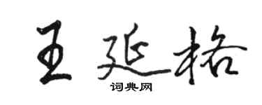 駱恆光王延格行書個性簽名怎么寫