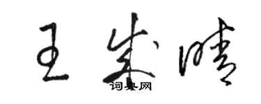 駱恆光王成晴草書個性簽名怎么寫