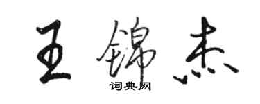 駱恆光王錦傑行書個性簽名怎么寫