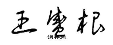 曾慶福王盛根草書個性簽名怎么寫