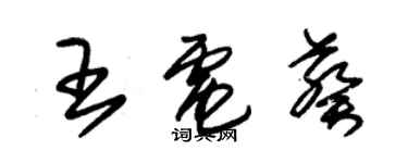 朱錫榮王電葵草書個性簽名怎么寫