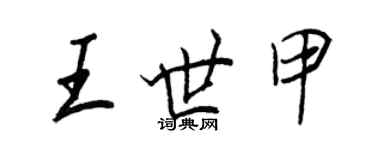 王正良王世甲行書個性簽名怎么寫