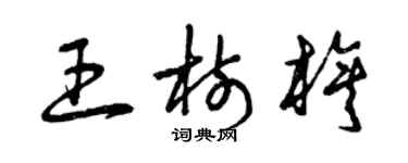 曾慶福王樹旗草書個性簽名怎么寫
