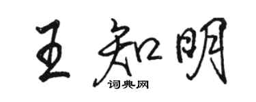 駱恆光王知明行書個性簽名怎么寫