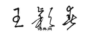 駱恆光王穎春草書個性簽名怎么寫