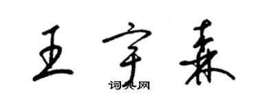 梁錦英王宇森草書個性簽名怎么寫