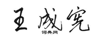 駱恆光王成憲行書個性簽名怎么寫