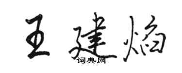 駱恆光王建焰行書個性簽名怎么寫
