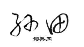 駱恆光孫田草書個性簽名怎么寫