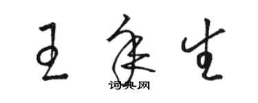 駱恆光王年生草書個性簽名怎么寫