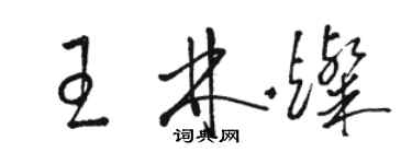 駱恆光王林燦草書個性簽名怎么寫