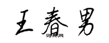 王正良王春男行書個性簽名怎么寫