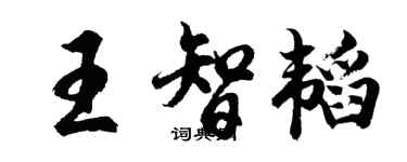 胡問遂王智韜行書個性簽名怎么寫