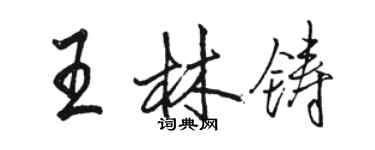 駱恆光王林鑄行書個性簽名怎么寫