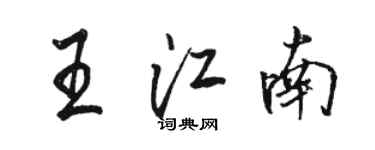 駱恆光王江南行書個性簽名怎么寫