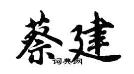 胡問遂蔡建行書個性簽名怎么寫