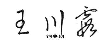 駱恆光王川霞草書個性簽名怎么寫